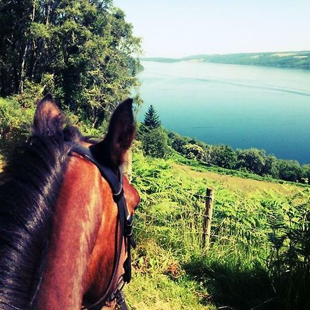 Loch Ness B And B Инвернес Екстериор снимка